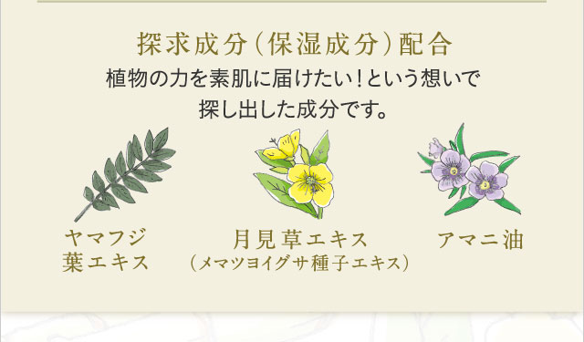 探求成分（保湿成分）配合