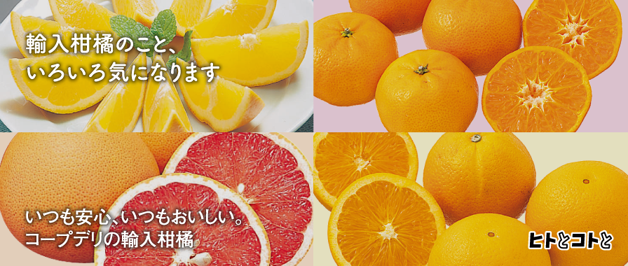 ヒトとコトと／いつも安心、いつもおいしい。コープデリの輸入柑橘